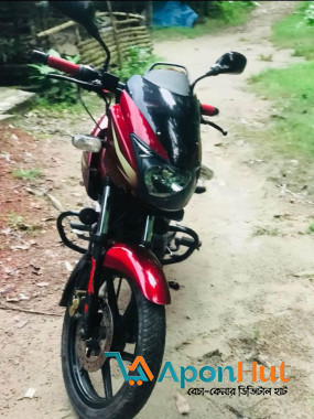 Bajaj Pulsar 2019 Used Bike Best Price