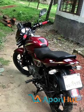 Bajaj Pulsar 2019 Used Bike Best Price