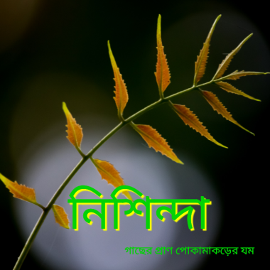 পোকা নিধক স্প্রে