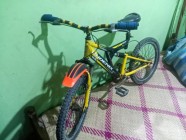 Phoenix Cycle for sale