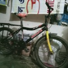 Duranta bicycle Sale Best Price (Used)