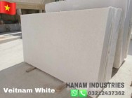 Pure White Flawless Vietnam White Marble