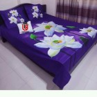 Double Size 100% Cotton Bed sheet set With two pillo Cover