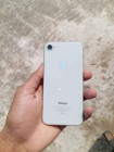 Apple iPhone 8 2017 Mobile Phone Sell (Used)