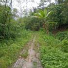 Lands for Sale in Bandarban