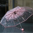 Umbrella Price in BD