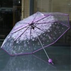 Umbrella Price in BD