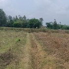 Industrial land besides dhaka - ctg highway