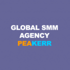 Cheapest SMM Panel Bangladesh - Peakerr.com