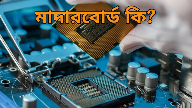 What is a motherboard? How many types and what are its uses in detail
