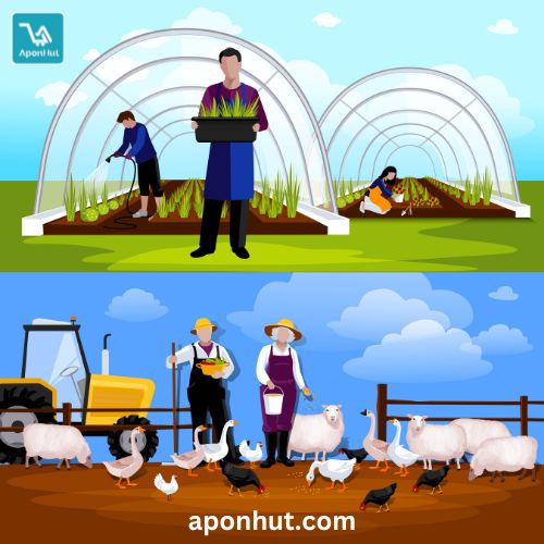 All types of Agricultural Items for Sale in Bangladesh | Aponhut.com